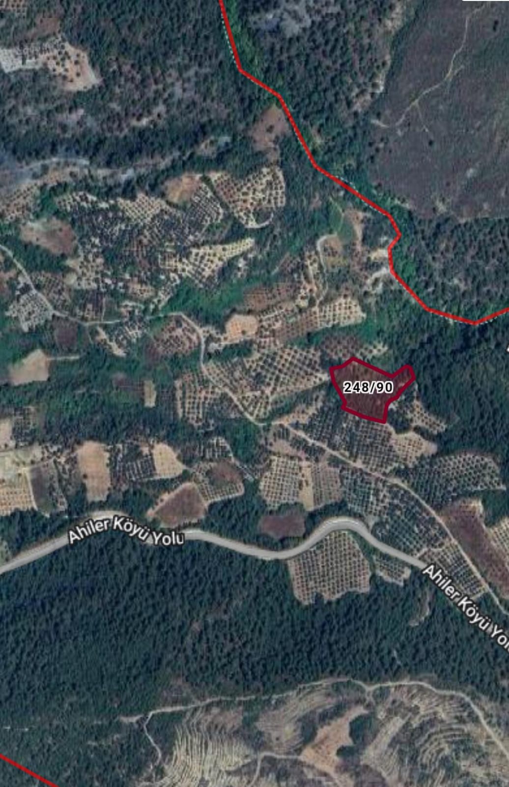 Fotoğraf